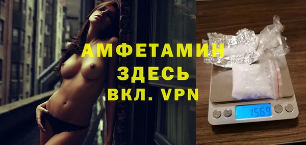 шишки Беломорск