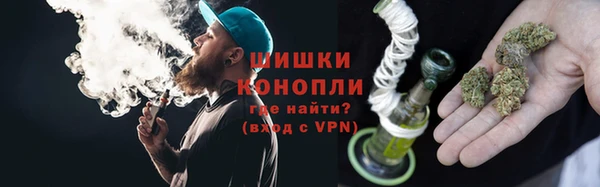 шишки Беломорск