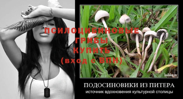 шишки Беломорск