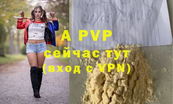 шишки Беломорск
