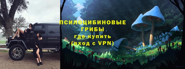 шишки Беломорск