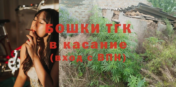шишки Беломорск