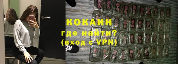 шишки Беломорск