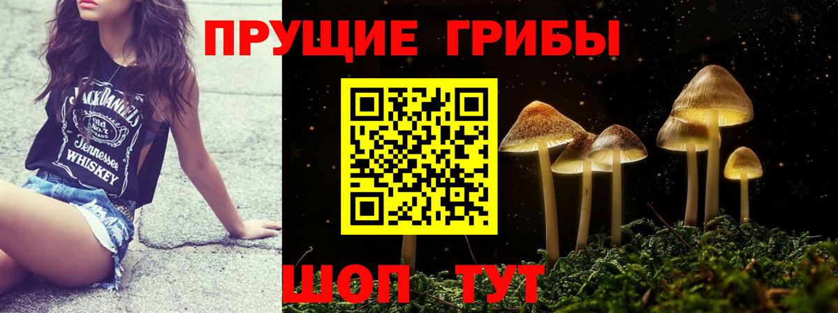 Галлюциногенные грибы GOLDEN TEACHER Саяногорск